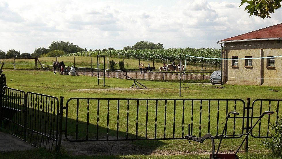 Riding lessons at the Botschatzke vacation farm, &copy; Ferienhof Botschatzke