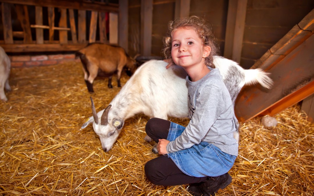 Kinderboerderij, © Karls Erlebnis-Dorf