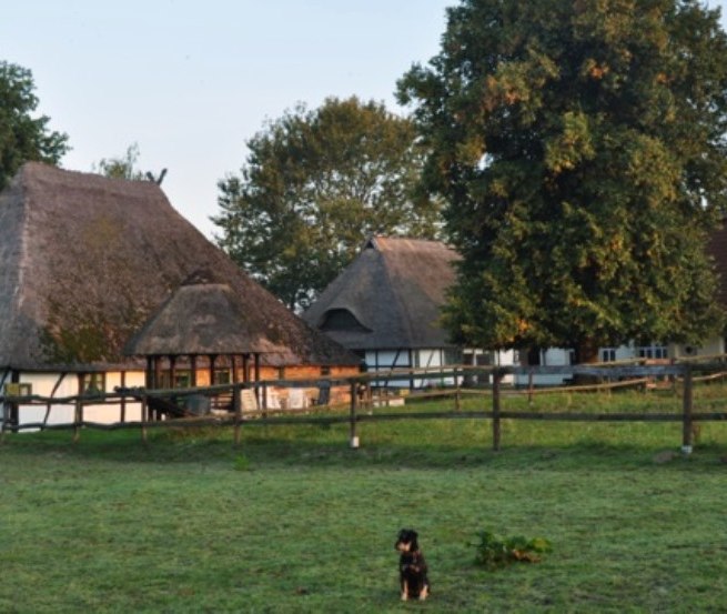 Paardenboerderij Schwalbennest: Uitzicht op onze kleine, door een familie gerunde manege in Jörnstorf, waar jij en je huisdieren van harte welkom zijn., © Pferdehof Schwalbennest/ Rauth