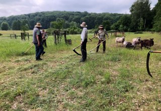 Maaien en ontginnen 2024 // &copy; Heike Brechler