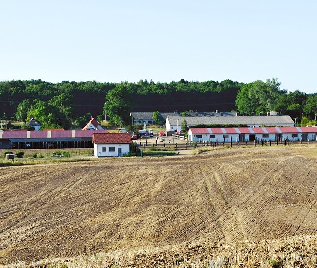Centrally located on the Island of R&uuml;gen near the Baltic resorts: the Hof-Viervitz // &copy; Hof-Viervitz/Hermann