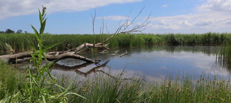 © Jana Freitag © Jana Freitag