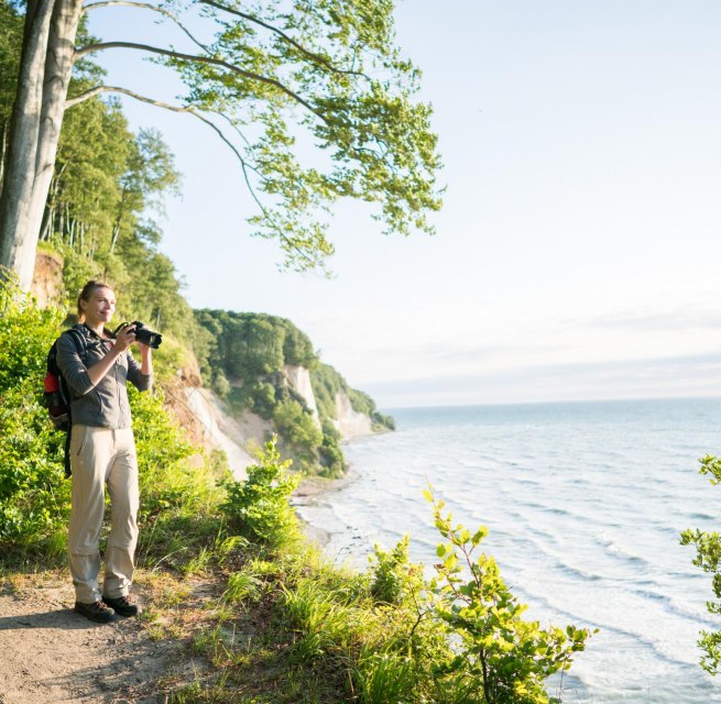 Im Einklang mit der Natur: Entdeckungsreise entlang des Hochuferwegs im majest&auml;tischen Nationalpark Jasmund, umgeben von den imposanten Kreidefelsen. // &copy; TMV/Roth