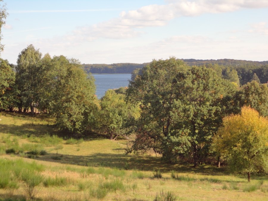 View of the lake Carwitz, © Tina von der Schmidt View of the lake Carwitz, © Tina von der Schmidt