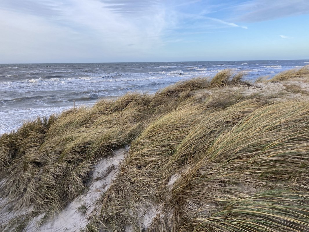 © Nationalparkamt Vorpommern © Nationalparkamt Vorpommern