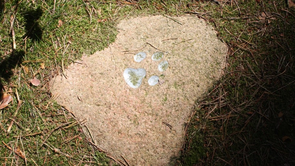 Imprint of a wolf paw in a stone // © Mecklenburgische Kleinseenplatte Touristik GmbH Imprint of a wolf paw in a stone // © Mecklenburgische Kleinseenplatte Touristik GmbH
