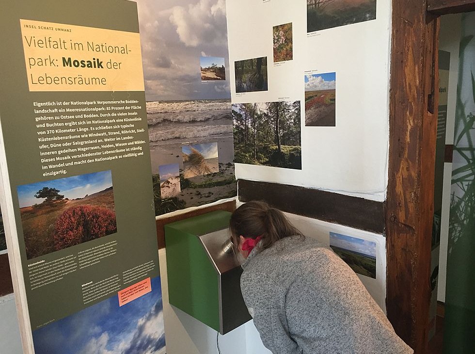 Nowa wystawa zaprasza do odkrycia, © Katrin Bärwald Nowa wystawa zaprasza do odkrycia, © Katrin Bärwald