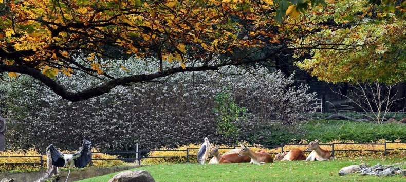 © Zoo_Rostock_Kloock