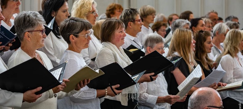 &copy; Geert Maciejewski