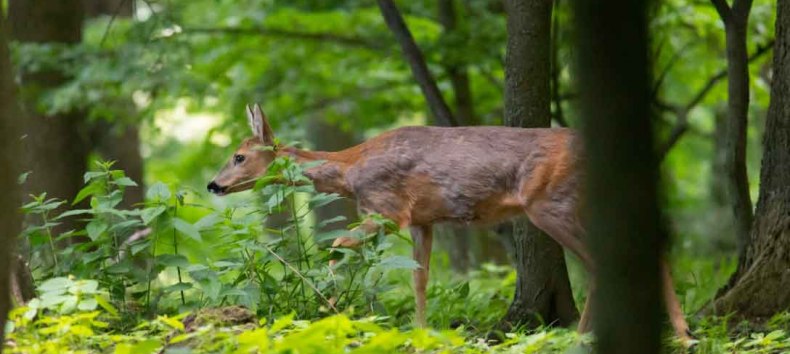 © Erlebnis Akademie AG/NEZR © Erlebnis Akademie AG/NEZR