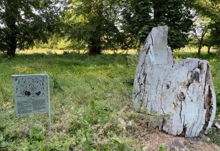 © TZ Südliche Boddenküste © TZ Südliche Boddenküste