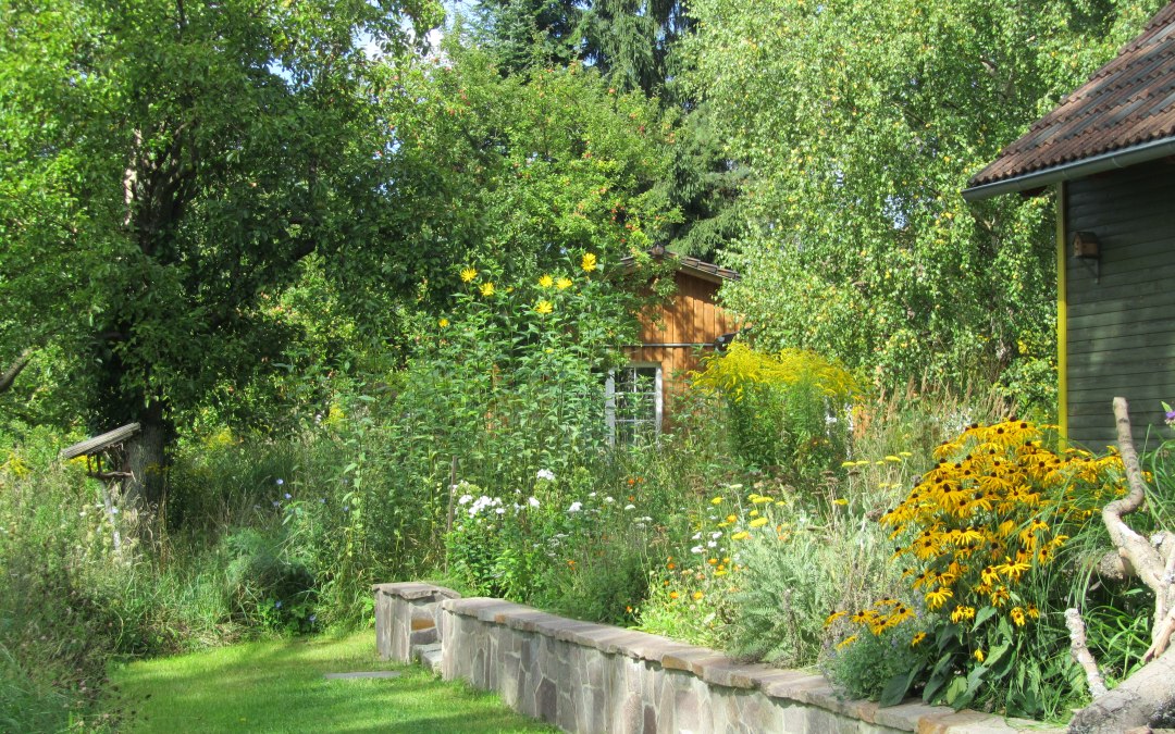 Terras van het wilgenhuis - ingegroeid in de "wilde" natuur, © Ewald Krombholz