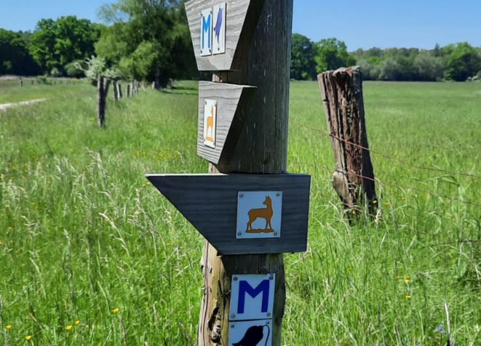 signpost, © Waren (Müritz)-Information