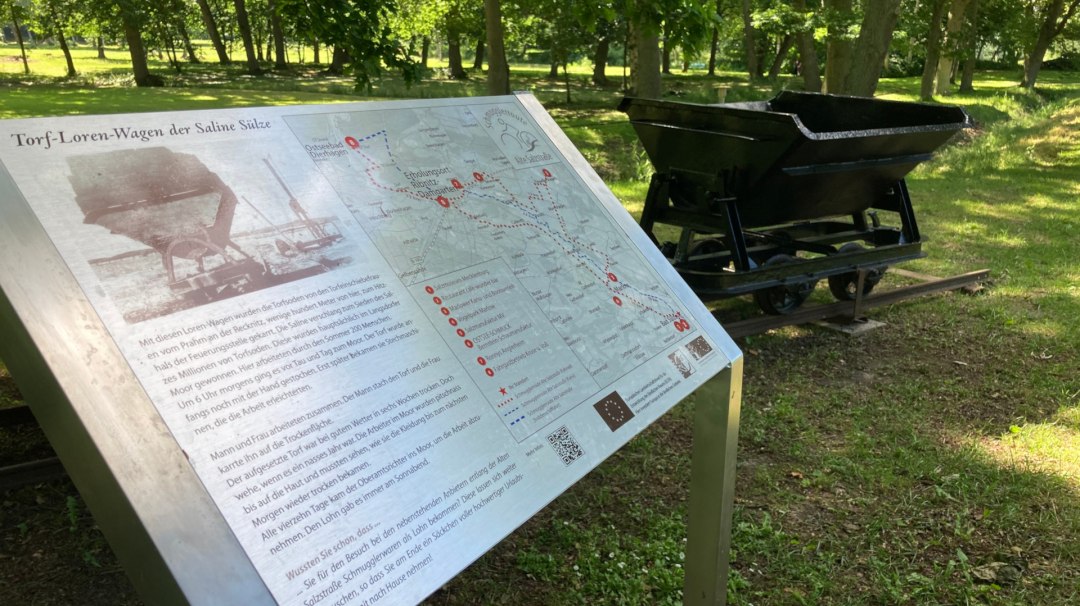 Torflore w Bad Sülze, © M. Hagemann