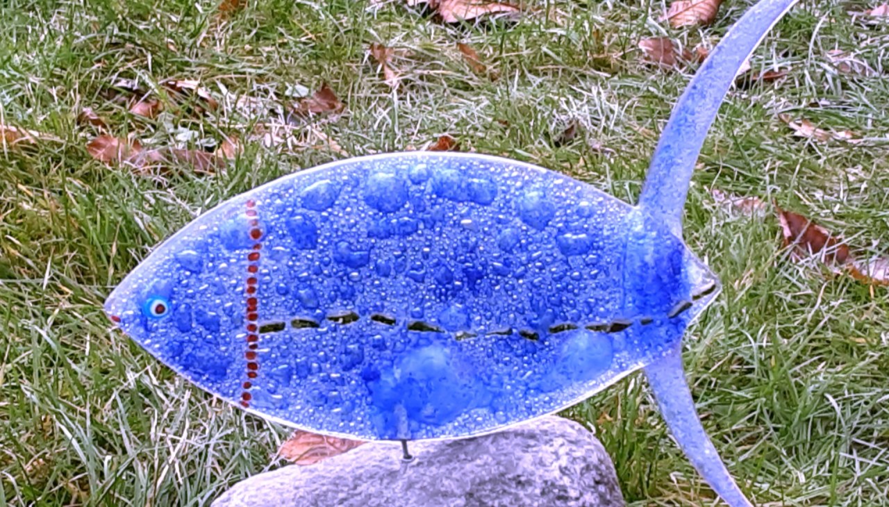 Blubbervis, © Regina Lüdecke Blubbervis, © Regina Lüdecke