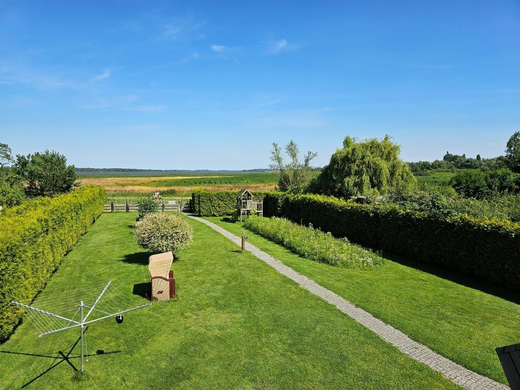 Plat zeepaardje, © Sabine Maus Plat zeepaardje, © Sabine Maus