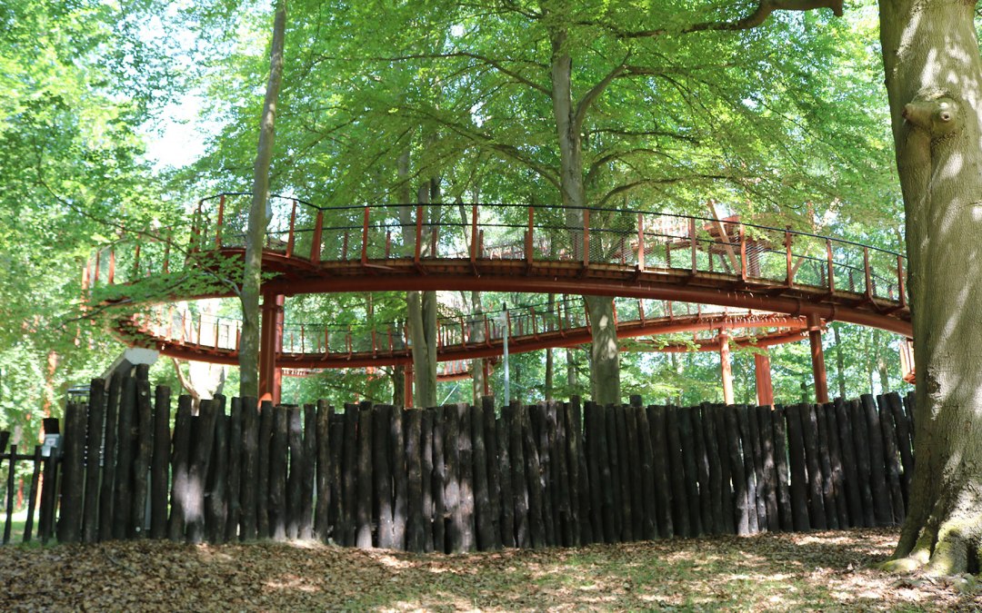 Ivenack - spacer w koronach drzew, © Silke Voss