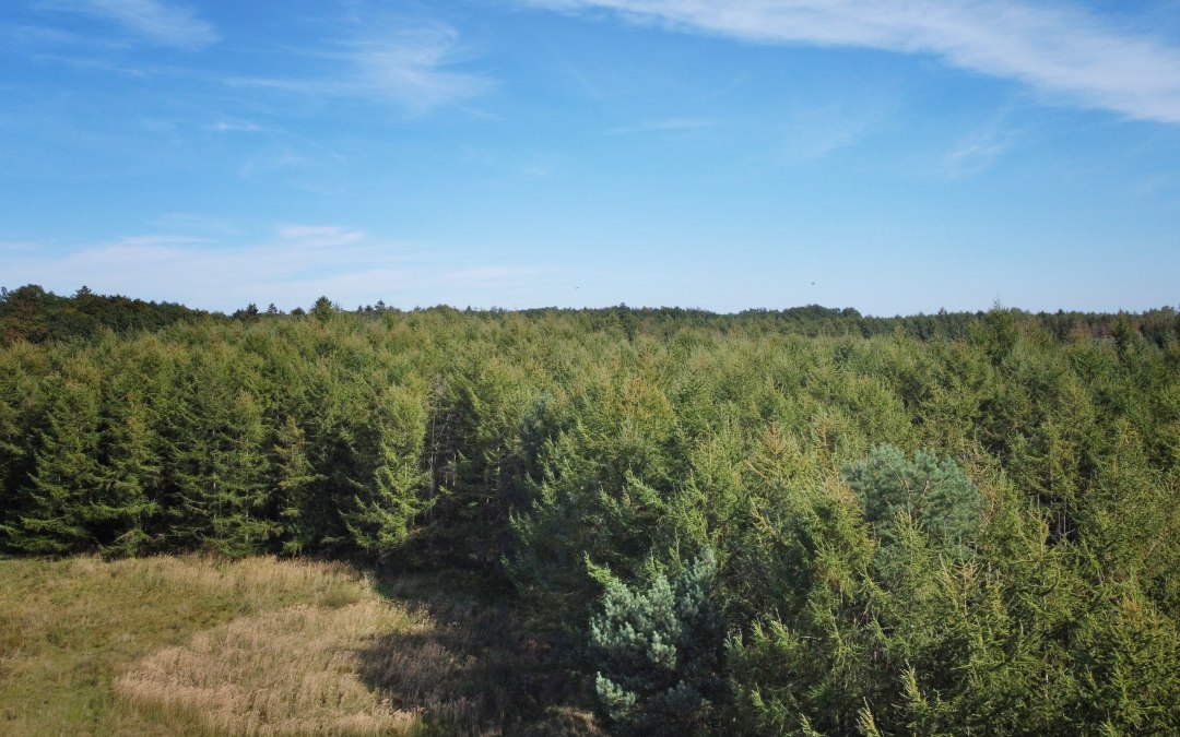 DJI_0848, © Landesforst MV