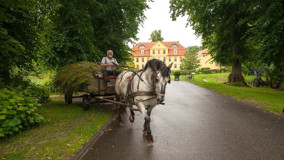 Wóz konny załadowany sianem przed dworem w Luehburgu., © TMV/Luehburg