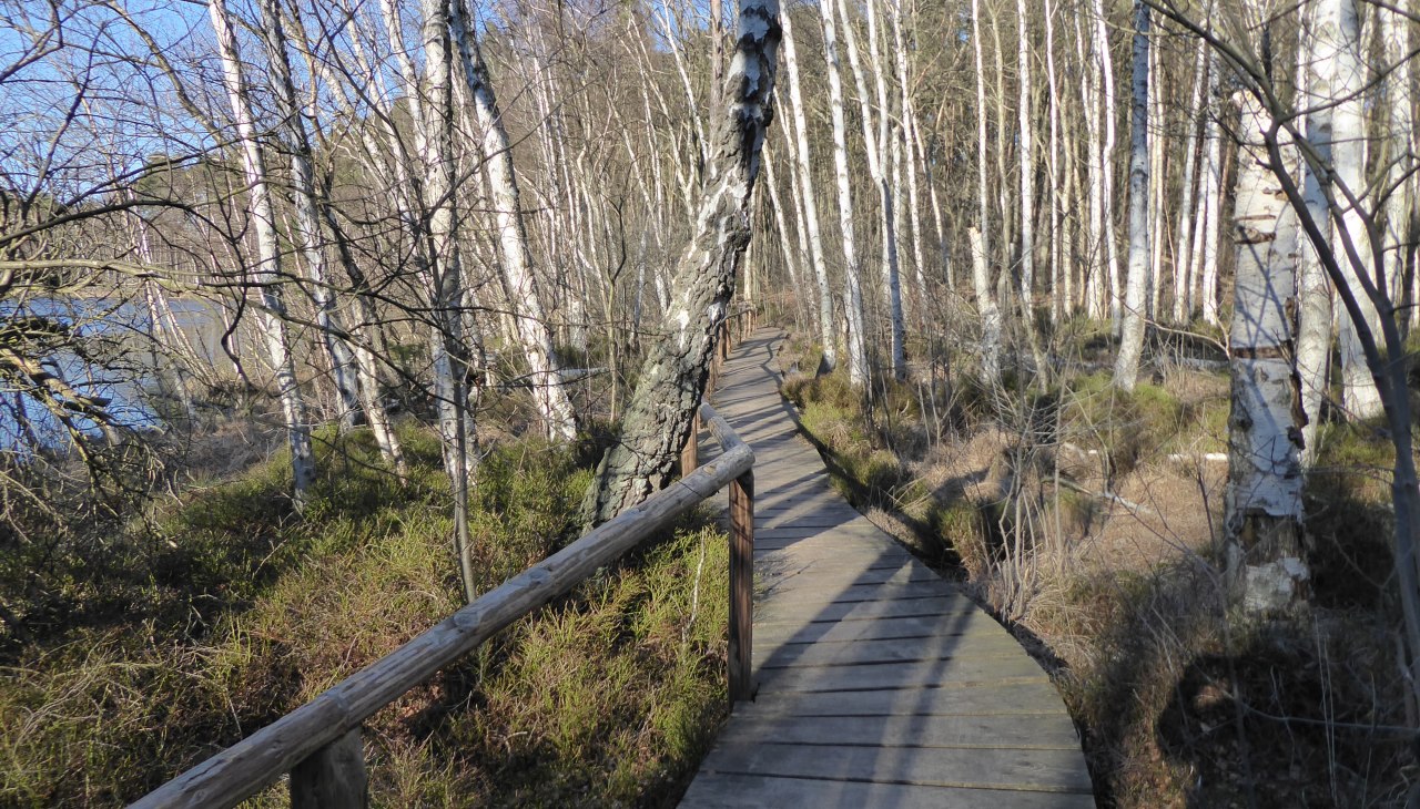 VH10_Moorsteg_an_den_Wienpietschseen_W.Döbbert, © Wiebke Döbbert VH10_Moorsteg_an_den_Wienpietschseen_W.Döbbert, © Wiebke Döbbert