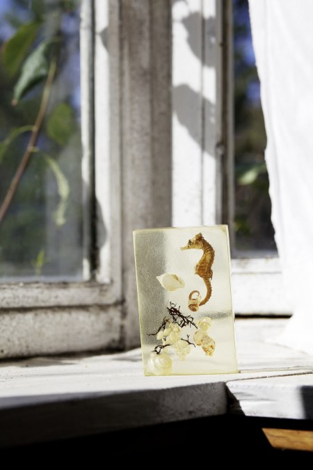 Creatures of the Mud, 2013, Pigmentdruck, Künstlerrahmen© Flo Maak, © Flo Maak Creatures of the Mud, 2013, Pigmentdruck, Künstlerrahmen© Flo Maak, © Flo Maak