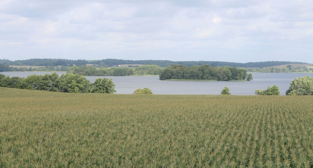 Prachtig uitzicht op de eilanden en schiereilanden van het merengebied van Krakau, © Touristinformation Krakow am See Prachtig uitzicht op de eilanden en schiereilanden van het merengebied van Krakau, © Touristinformation Krakow am See