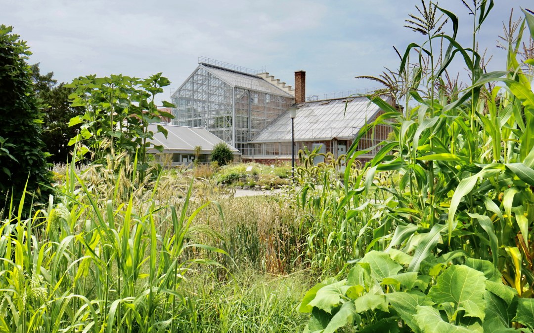 Botanischer_Garten@Koch - Kopie, © Gudrun Koch