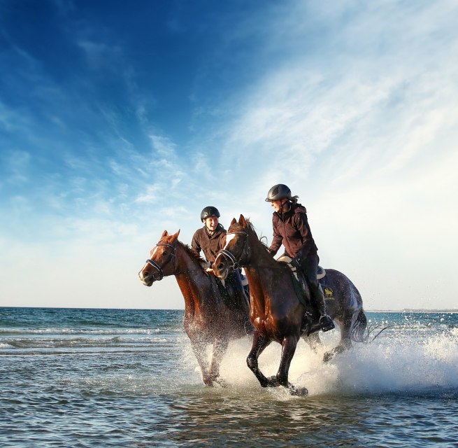 Od października do kwietnia czas wsiąść w siodło i udać się nad Morze Bałtyckie w Meklemburgii // &copy; MV-T/Pantel