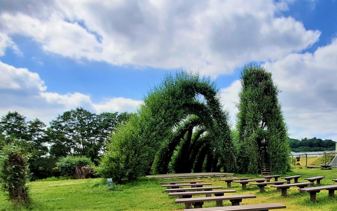 Willow snail and willow walk, © M. Lenthe