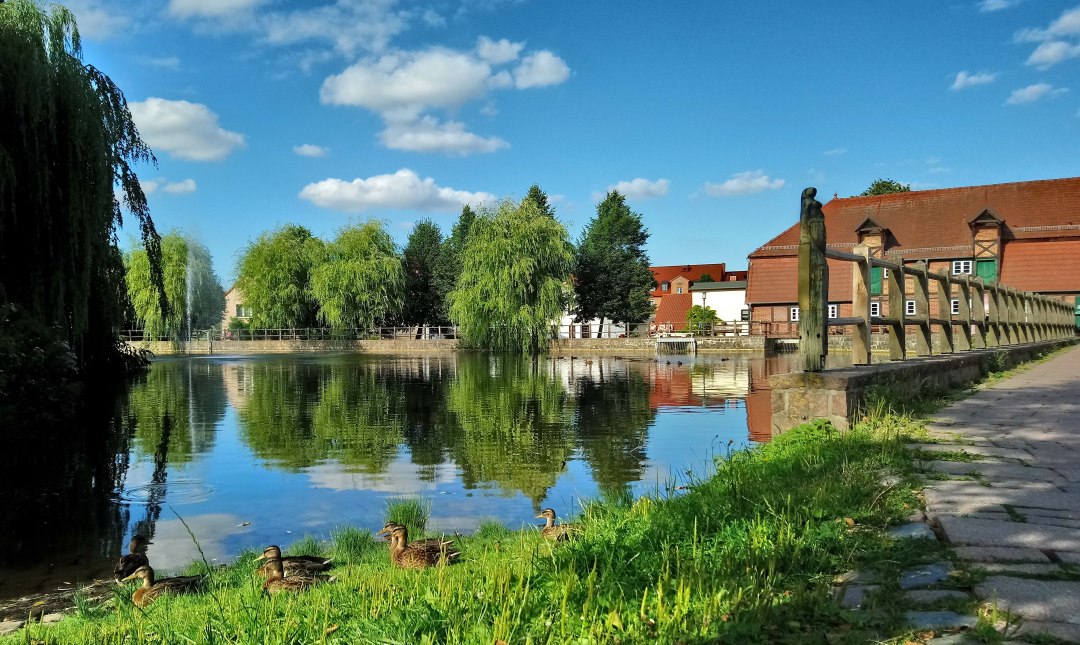 Mühlenteich und Stadtmühle Foto Koch, © Jana Koch