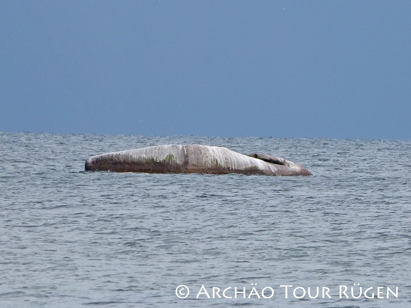 De "Buhskam" ligt in het midden van de Oostzee // © Archäo Tour Rügen De "Buhskam" ligt in het midden van de Oostzee // © Archäo Tour Rügen
