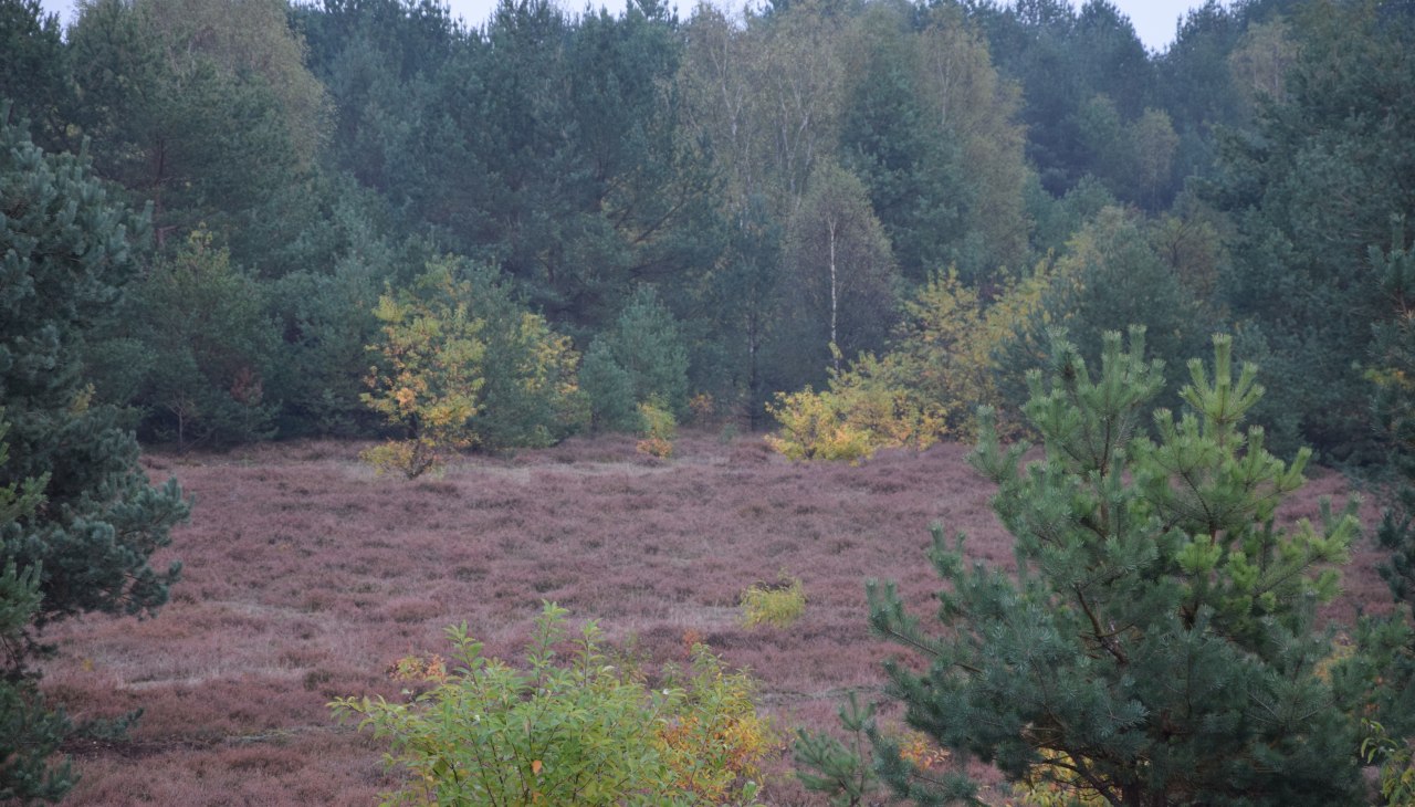 13.10.16_Truppenuebungsplatz_1_M._Fuhrmann, &copy; Martina Fuhrmann