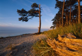 Strand Ludwigsburg in Abendstimmung // © MV-T.Thomas Grundner Strand Ludwigsburg in Abendstimmung // © MV-T.Thomas Grundner