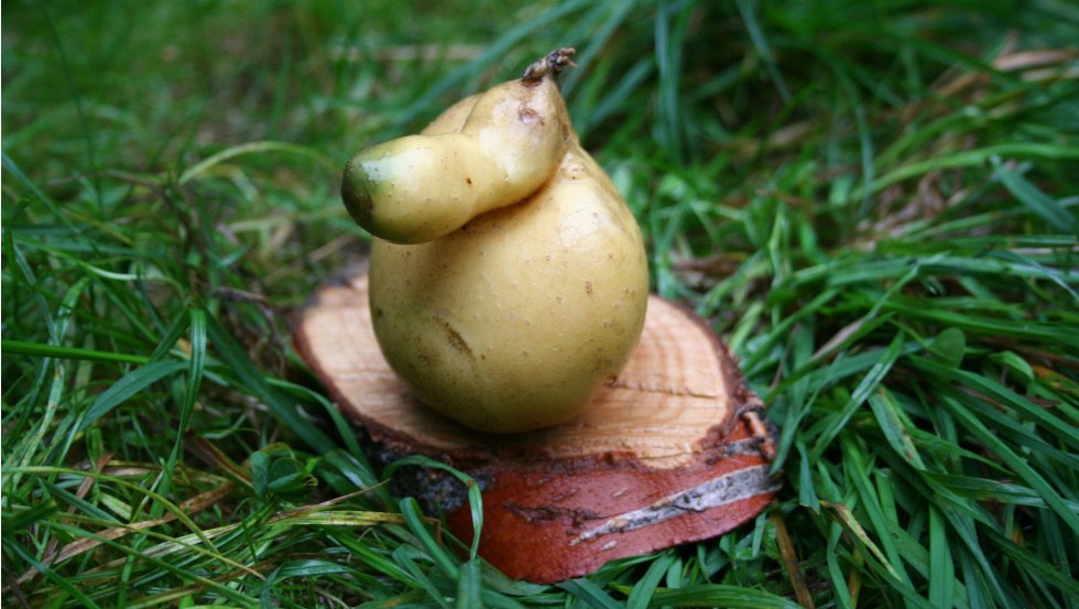 Elena Kolcova 4&copy;Elena Kolcova, &copy; Elena Kolcova