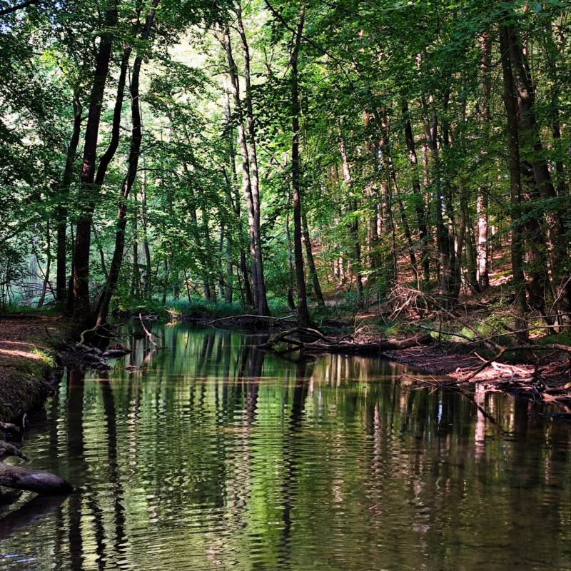 © Britta Daedelow-Seydl © Britta Daedelow-Seydl