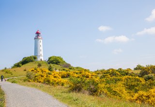 Das Wahrzeichen der Insel Hiddensee.
Kommt man zur Insel Hiddensee, so kommt man an ihm einfach nicht vorbei: dem Leuchtturm Dornbuch! // &copy; Wei&szlig;e Flotte GmbH