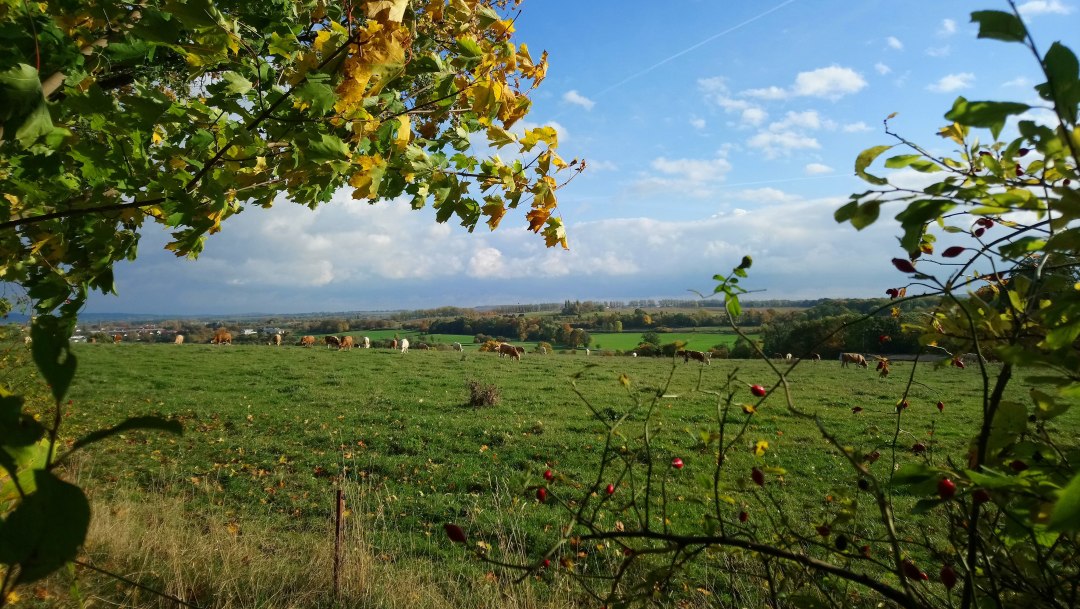 Wanderweg Hohes Holz 9 Foto Koch, © Jana Koch Wanderweg Hohes Holz 9 Foto Koch, © Jana Koch