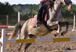 © bernsteinreiter © bernsteinreiter