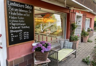 &copy; S&uuml;dliche Boddenk&uuml;ste