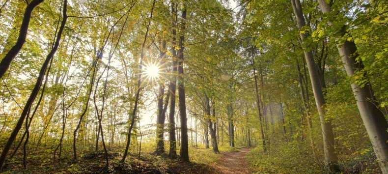 © Kurverwaltung Goehren / Martin Stoever © Kurverwaltung Goehren / Martin Stoever