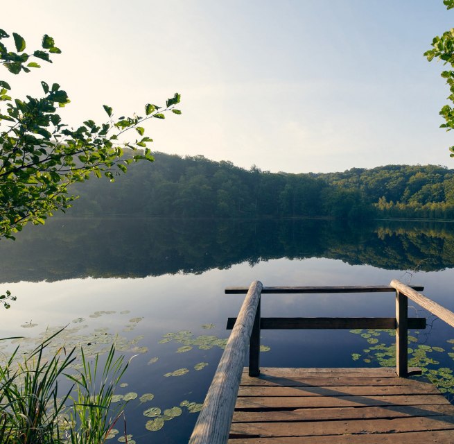 &copy; Stefan Pocha