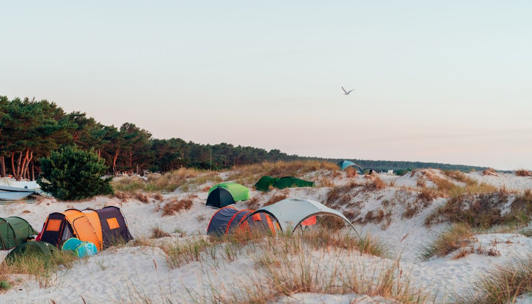 Tents are pitched between sand dunes and coastal forest at Ahoi Camp Dar&szlig; on the Baltic Sea at sunset.