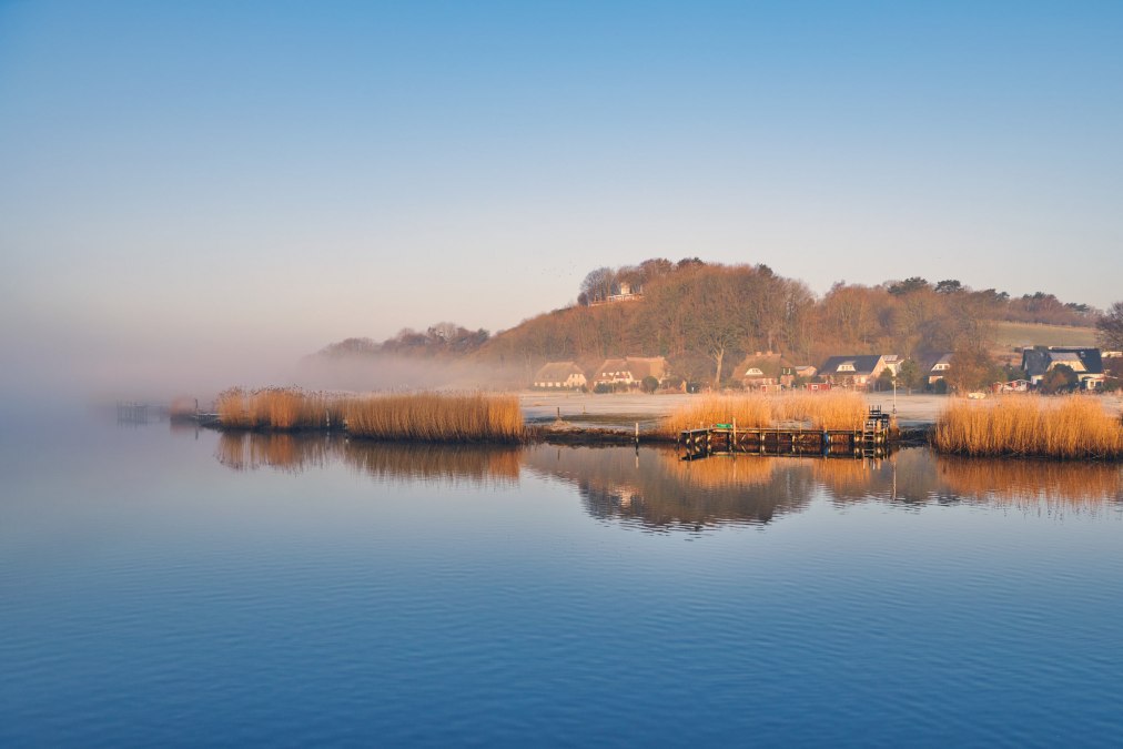 20220324-Moritzdorf1-Foto-Burwitz-Pocha, &copy; kv