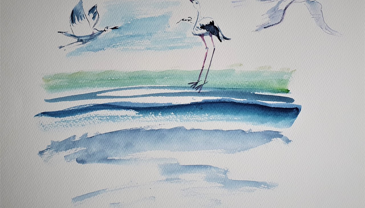 Vlucht en landing van ooievaars aan zeeWaterverf techniek op papier, © Heike Dittrich