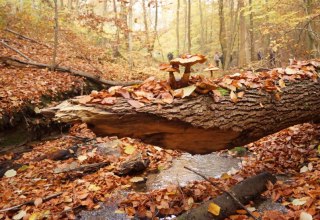 © Tom Clauß © Tom Clauß