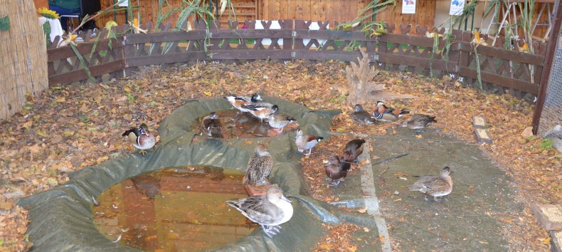 © Hansestadt Demmin © Hansestadt Demmin