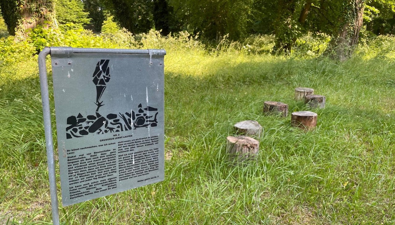 IMG_3619, &copy; TZ S&uuml;dliche Boddenk&uuml;ste