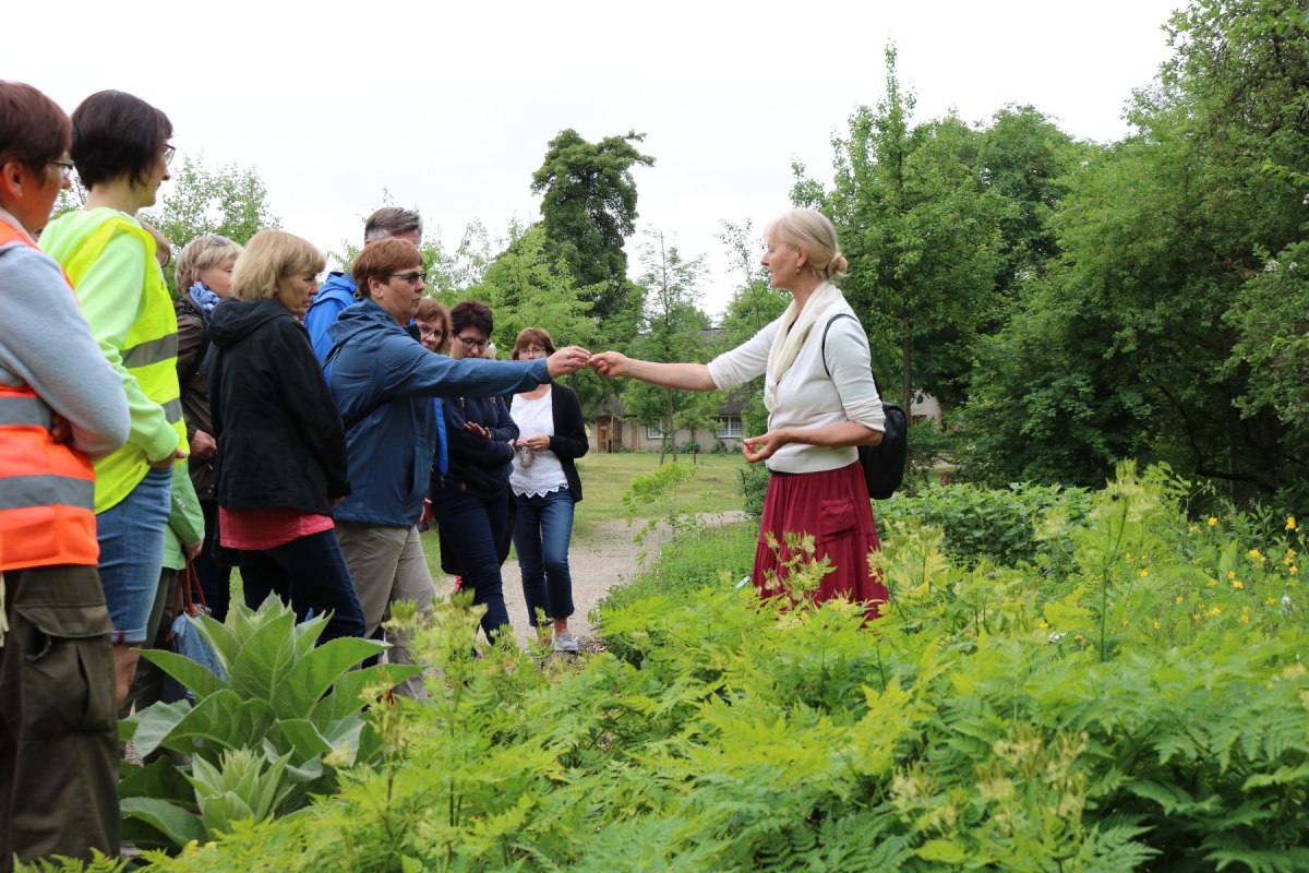 &copy; Fred-Ingo Pahl