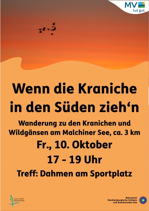 25-10-10 Kraniche 01, © Landesamt für Umwelt, Naturschutz und Geologie Mecklenburg-Vorpommern