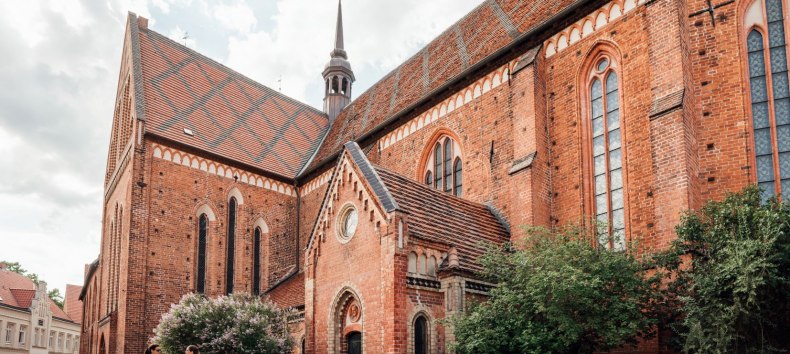 &copy; Dan Petermann